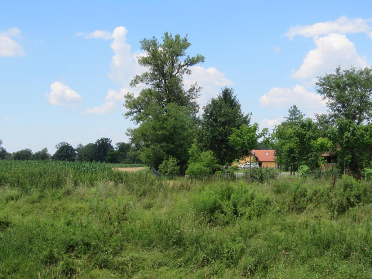 Mill House Apartment And Camping Ljutomer Exteriör bild