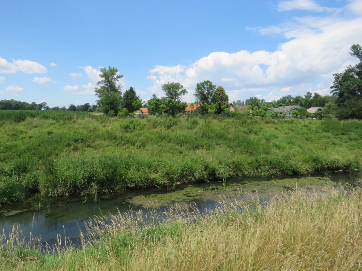 Mill House Apartment And Camping Ljutomer Exteriör bild