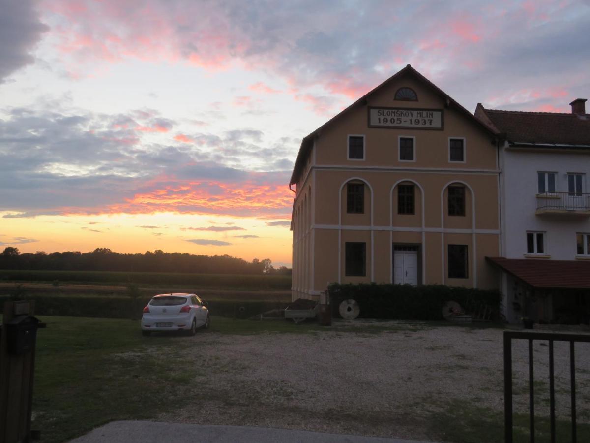 Mill House Apartment And Camping Ljutomer Exteriör bild